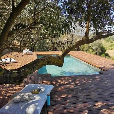Biovilla Sustentabilidade Palmela Bagian luar foto