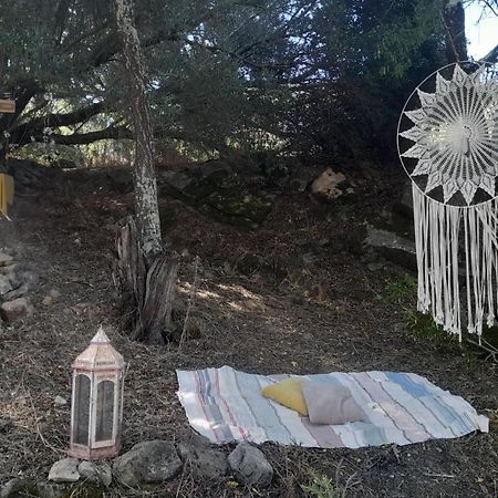 Biovilla Sustentabilidade Palmela Bagian luar foto