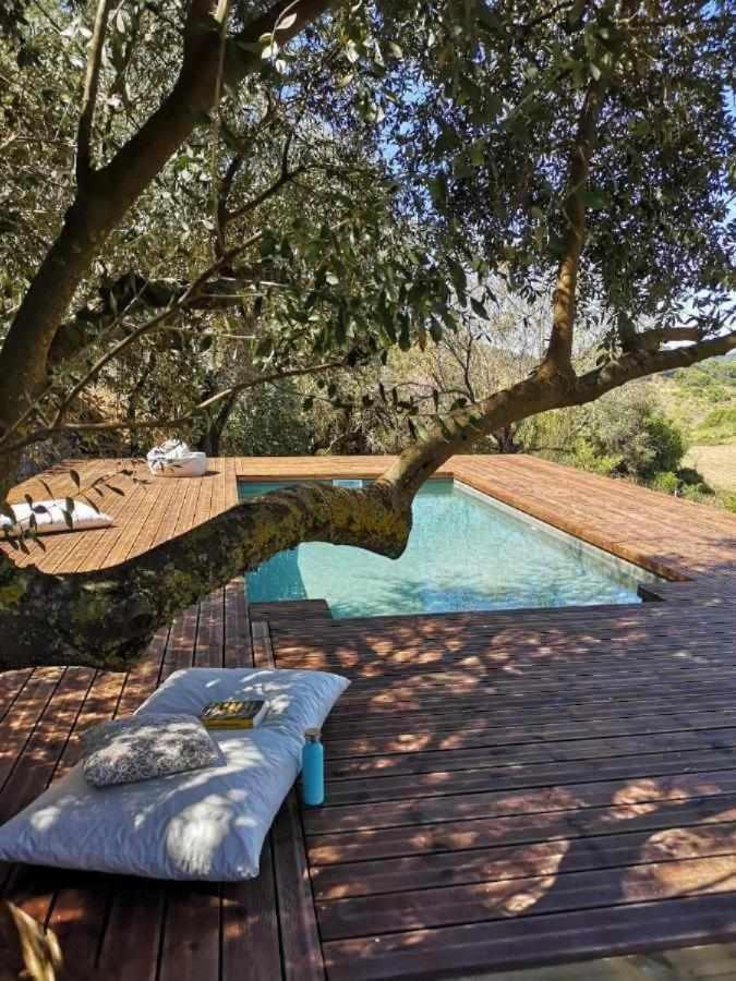 Biovilla Sustentabilidade Palmela Bagian luar foto