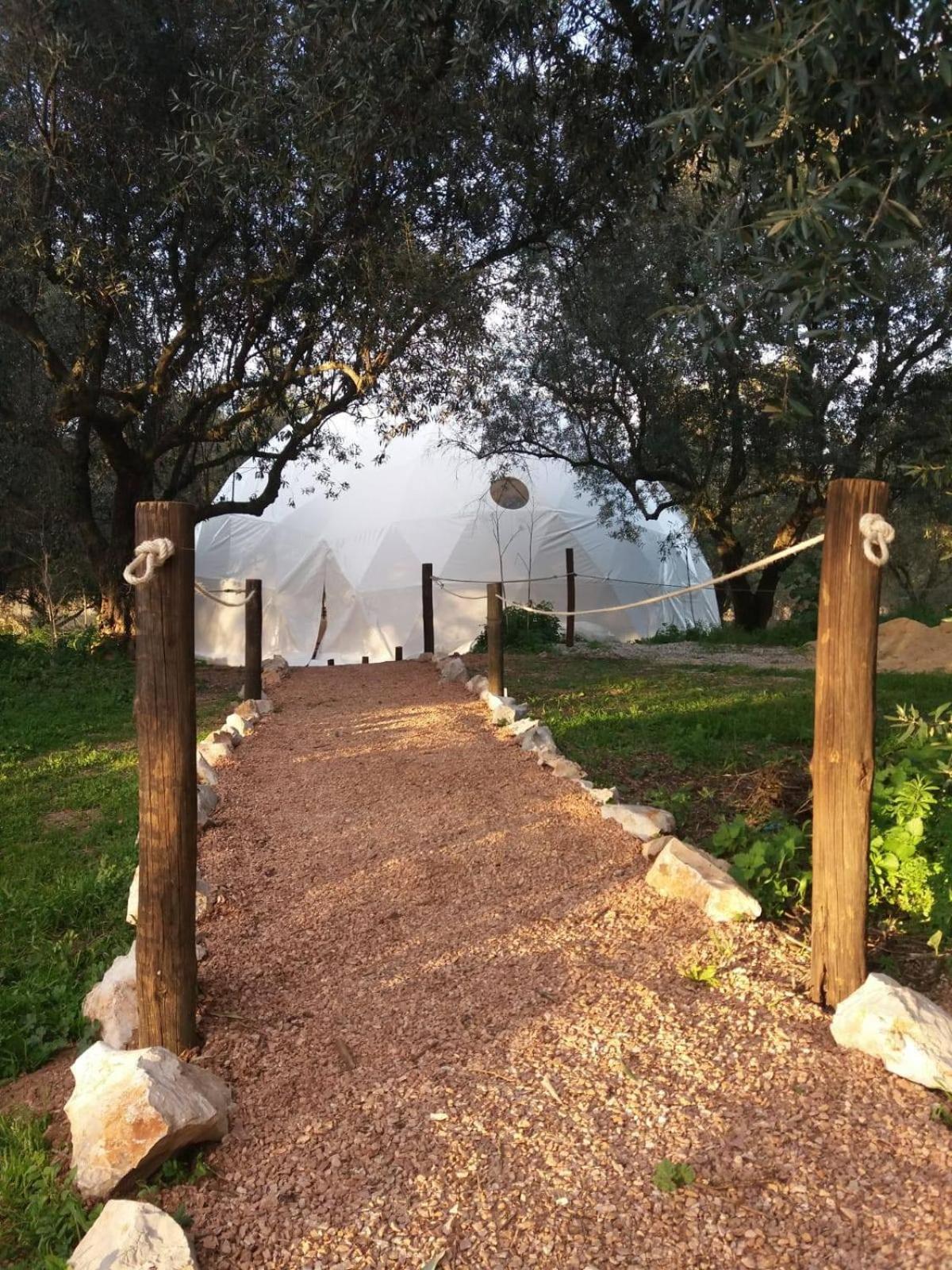 Biovilla Sustentabilidade Palmela Bagian luar foto