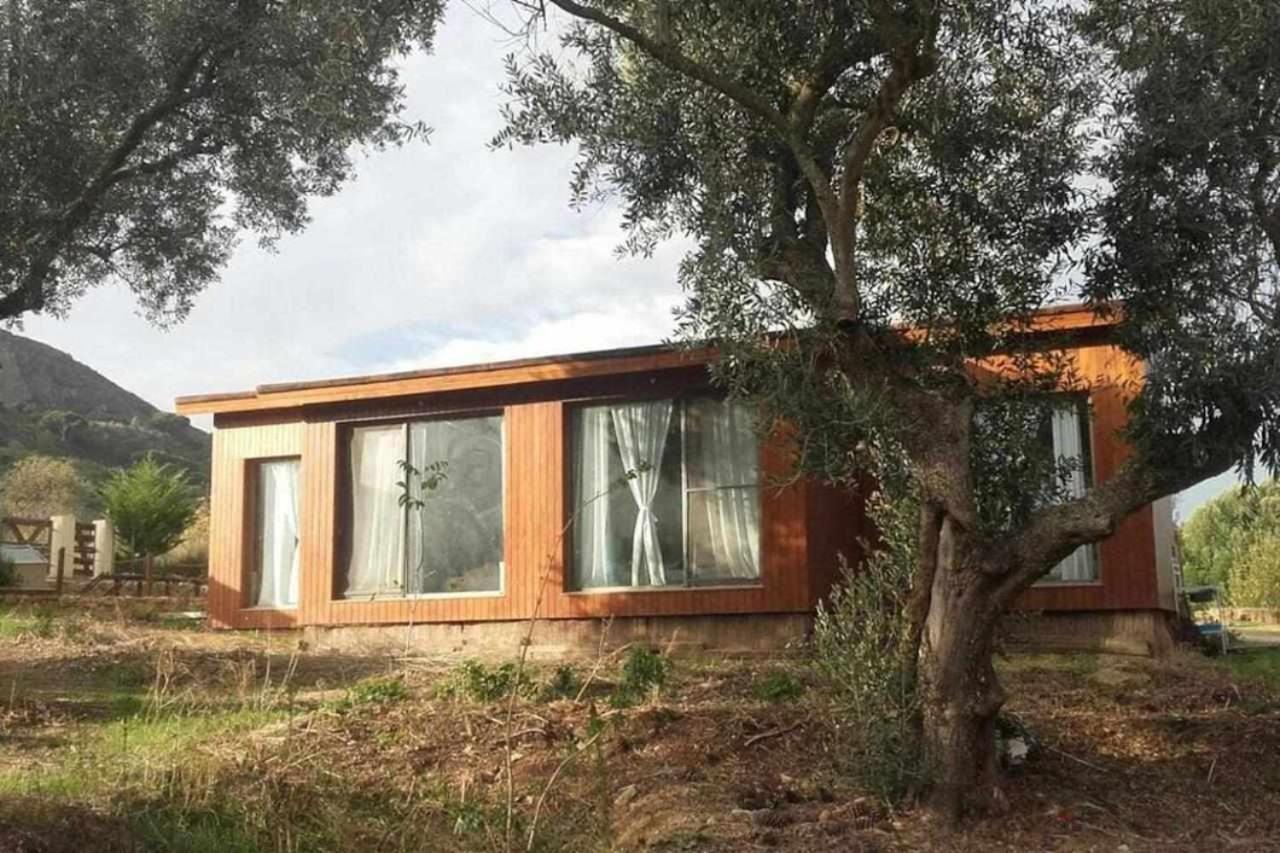 Biovilla Sustentabilidade Palmela Bagian luar foto