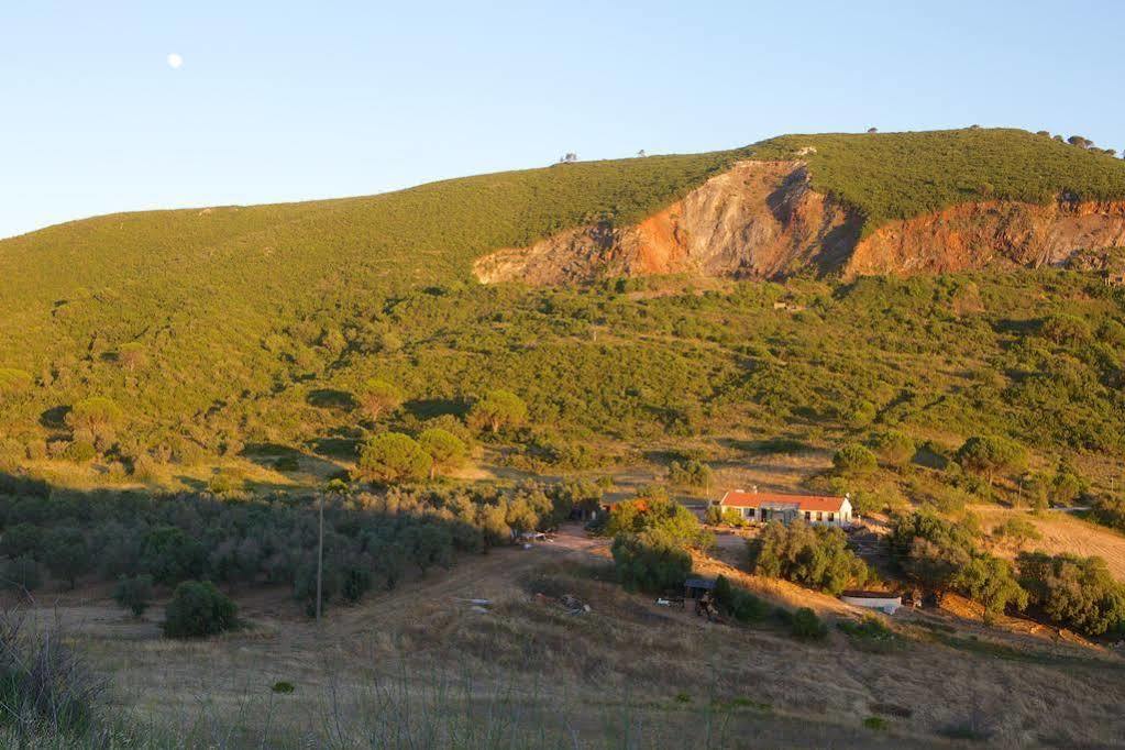 Biovilla Sustentabilidade Palmela Bagian luar foto