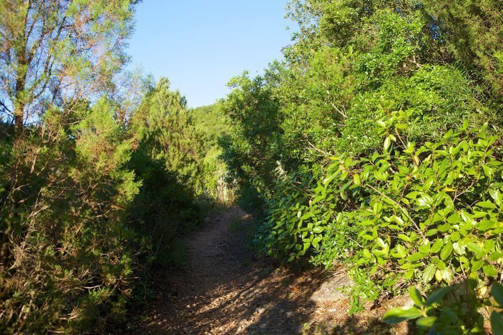 Biovilla Sustentabilidade Palmela Bagian luar foto